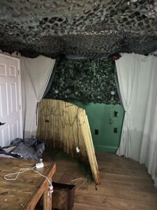 Journey Into the Jungle post hurricane